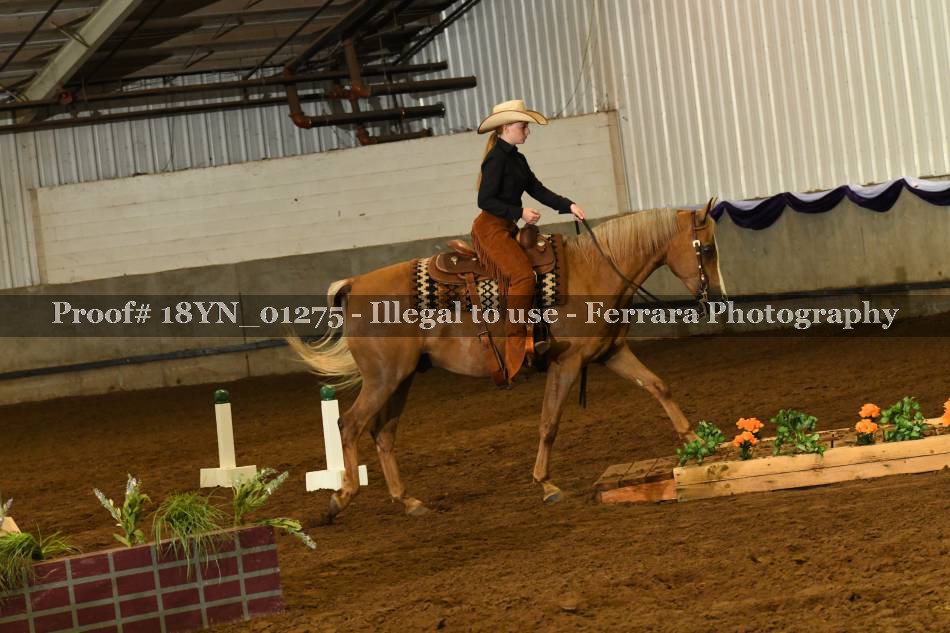 Proof 18YN_01275