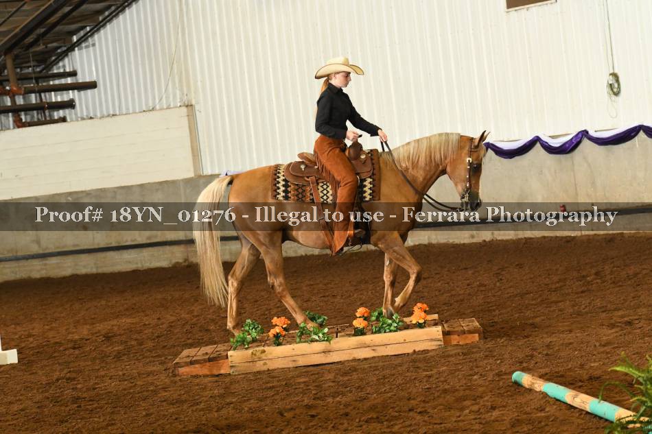 Proof 18YN_01276