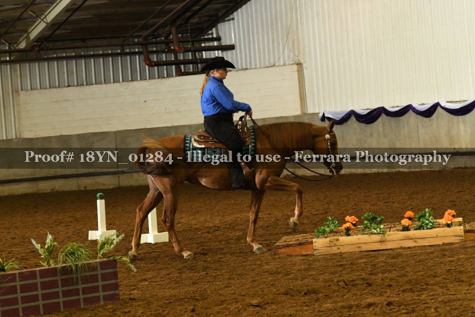 Proof 18YN_01284