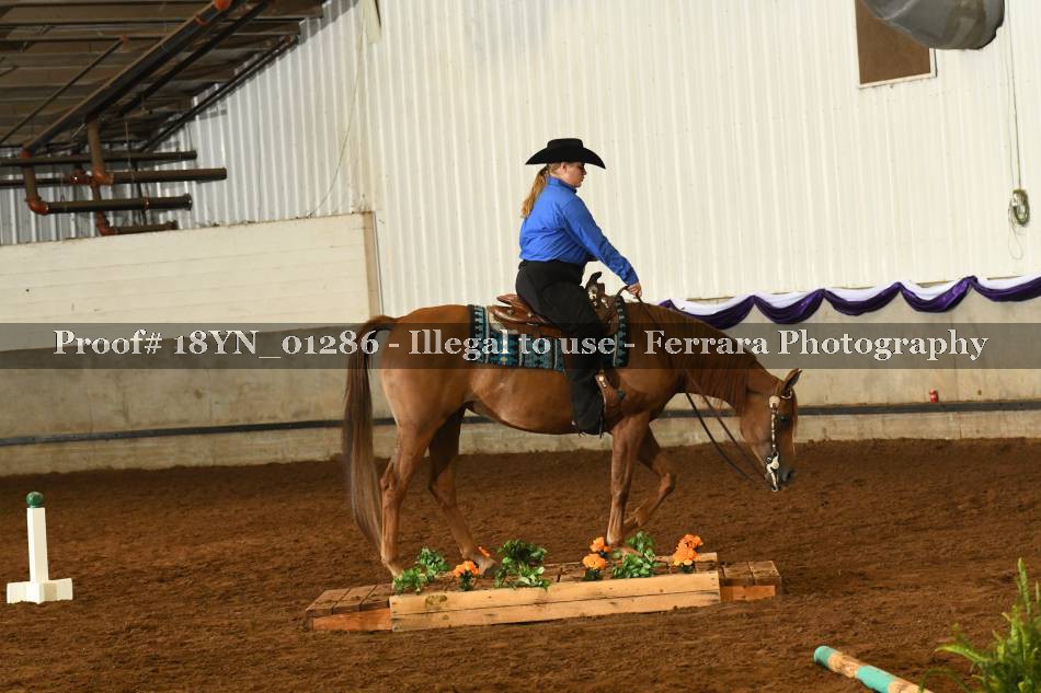 Proof 18YN_01286