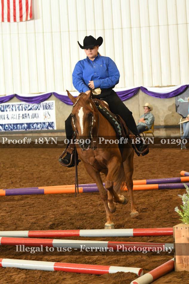 Proof 18YN_01290