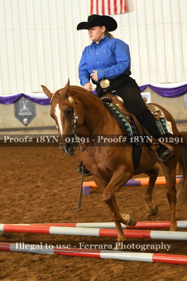 Proof 18YN_01291