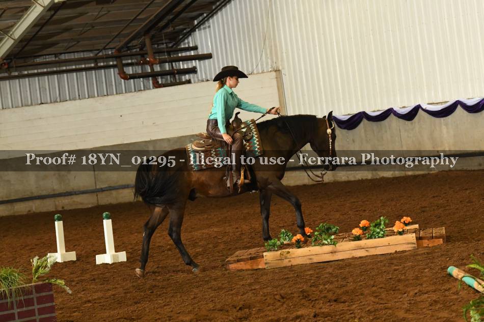 Proof 18YN_01295