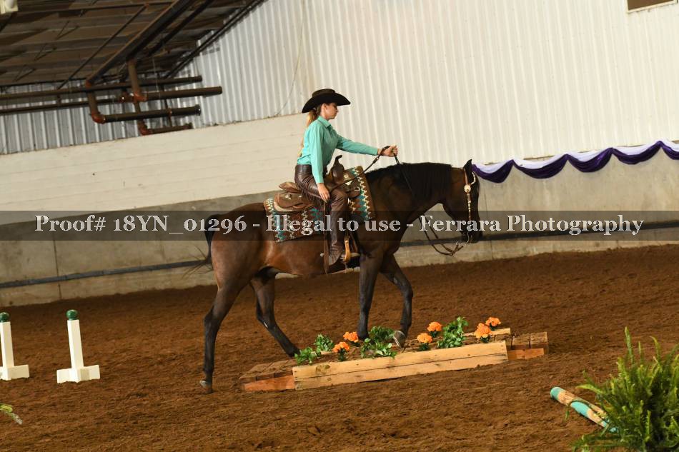 Proof 18YN_01296