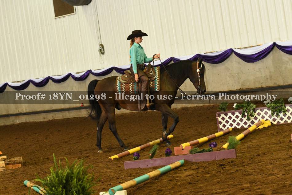 Proof 18YN_01298
