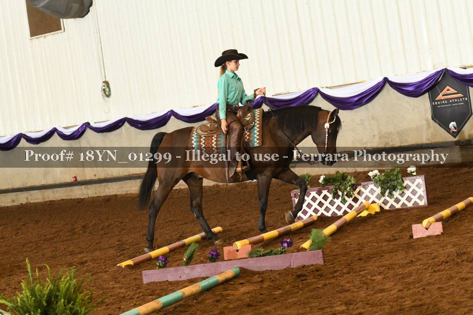 Proof 18YN_01299