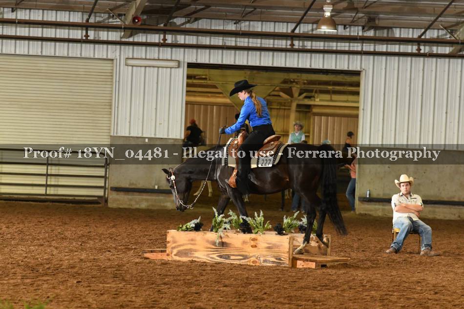 Proof 18YN_04481