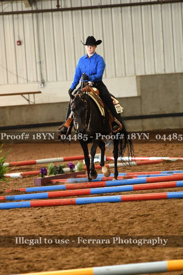 Proof 18YN_04485