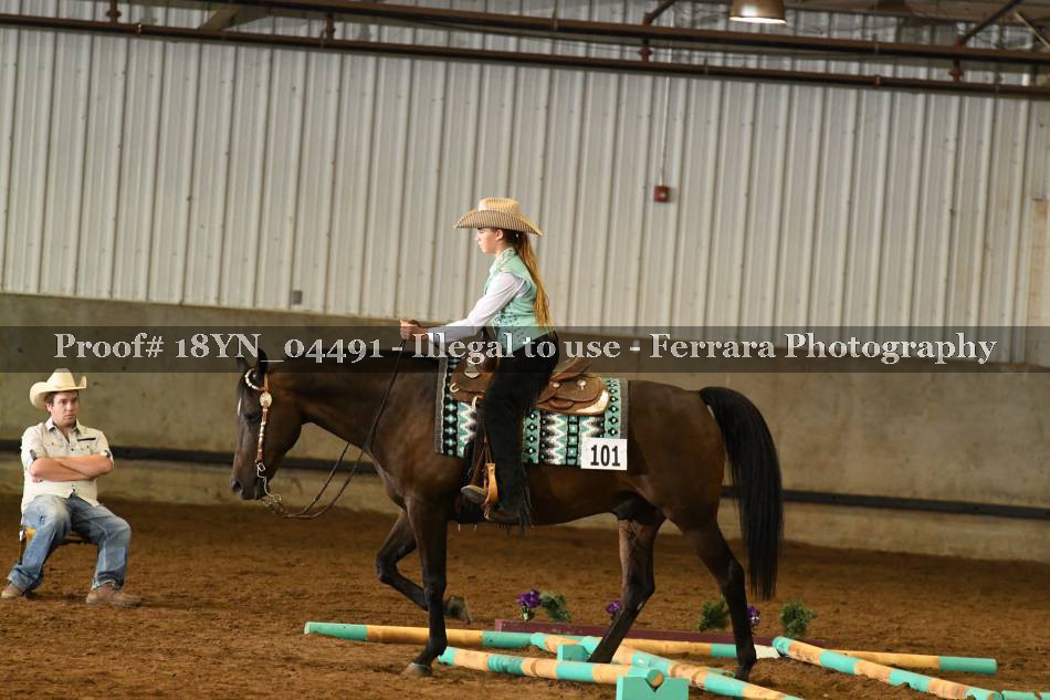 Proof 18YN_04491