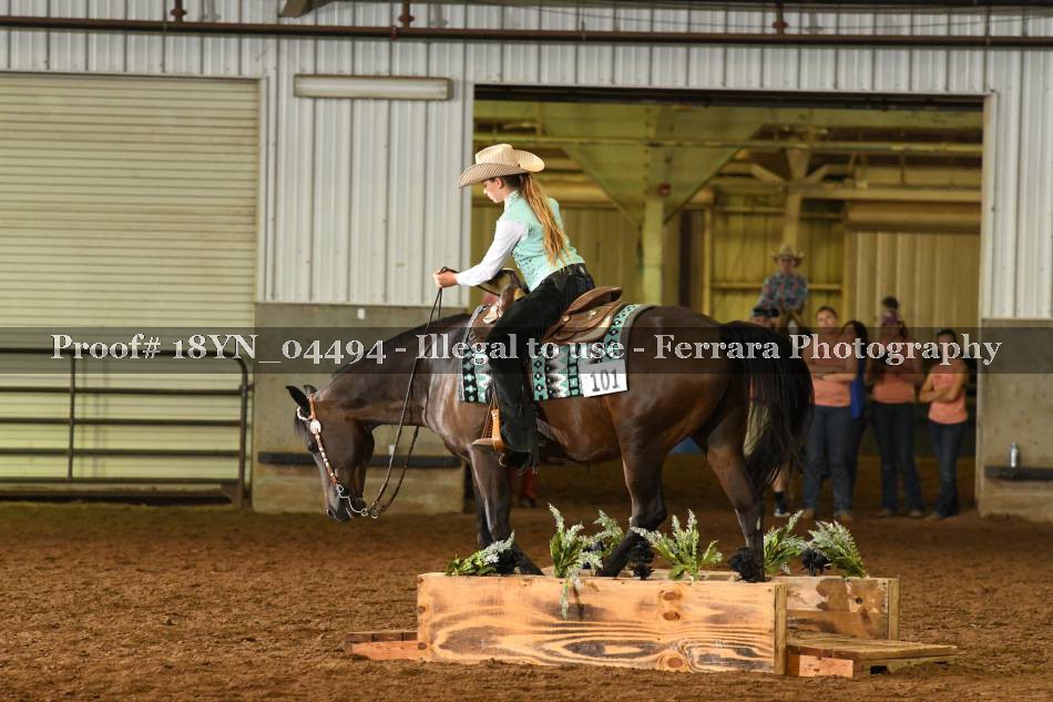 Proof 18YN_04494