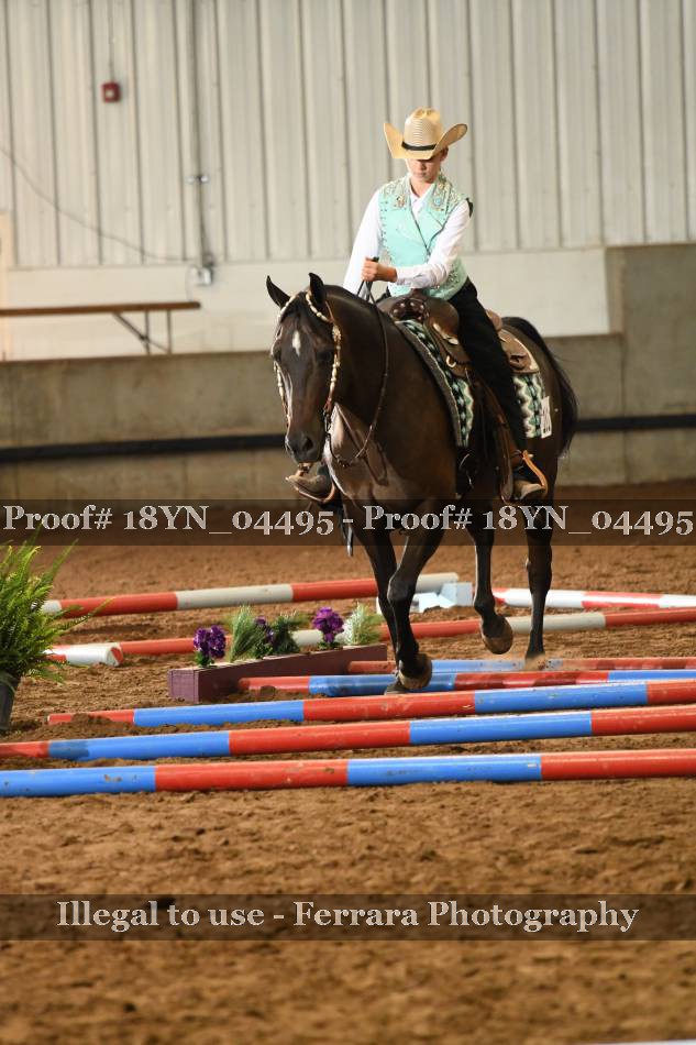 Proof 18YN_04495