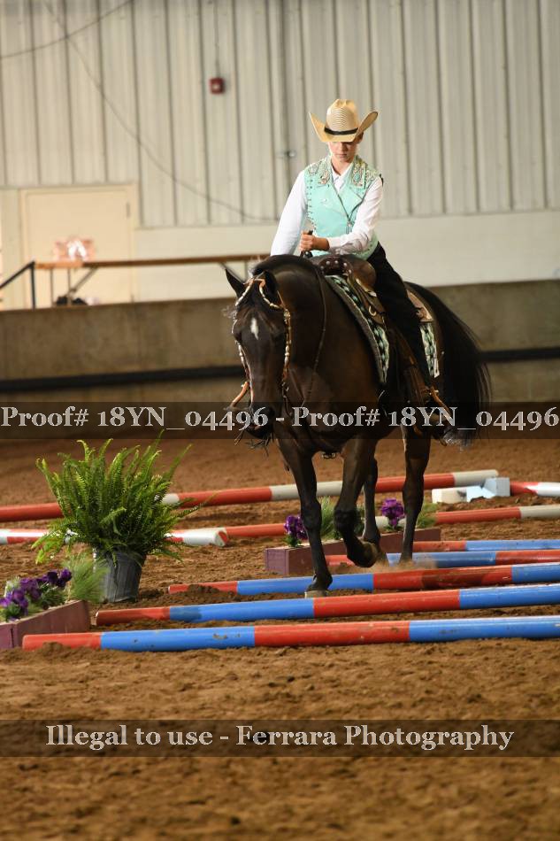 Proof 18YN_04496