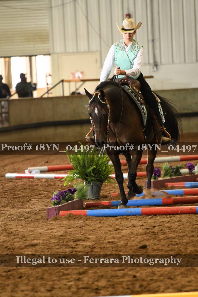 Proof 18YN_04497