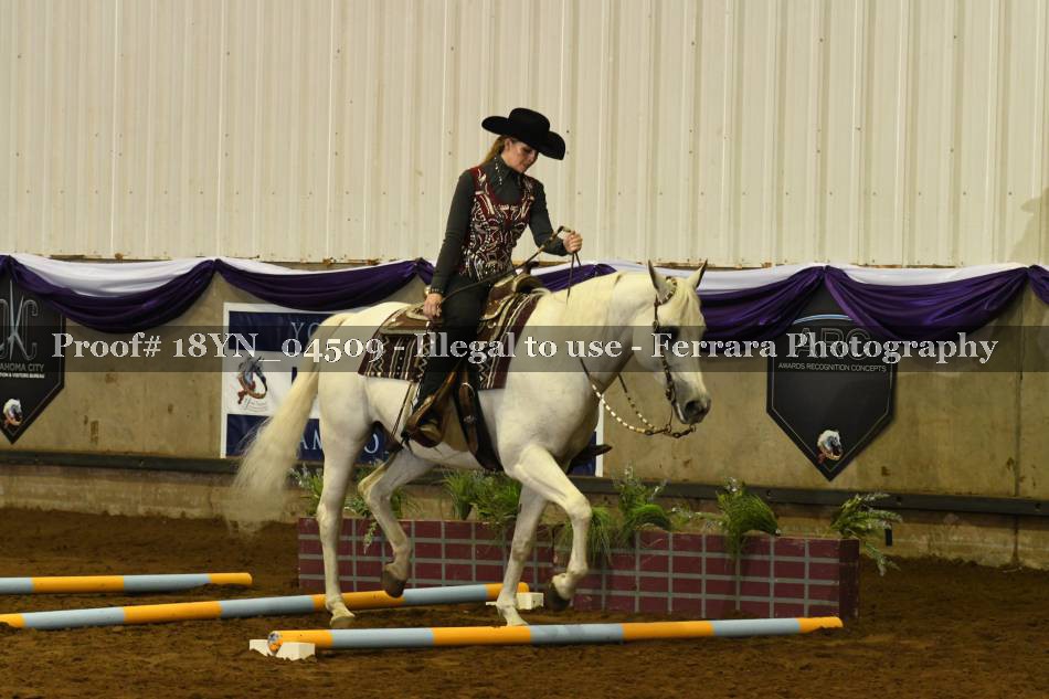 Proof 18YN_04509
