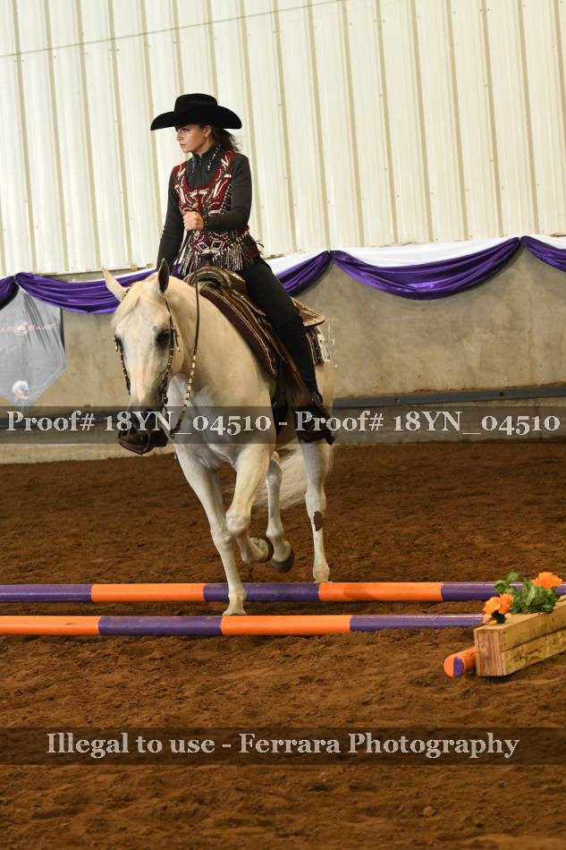 Proof 18YN_04510