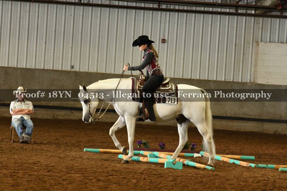 Proof 18YN_04513