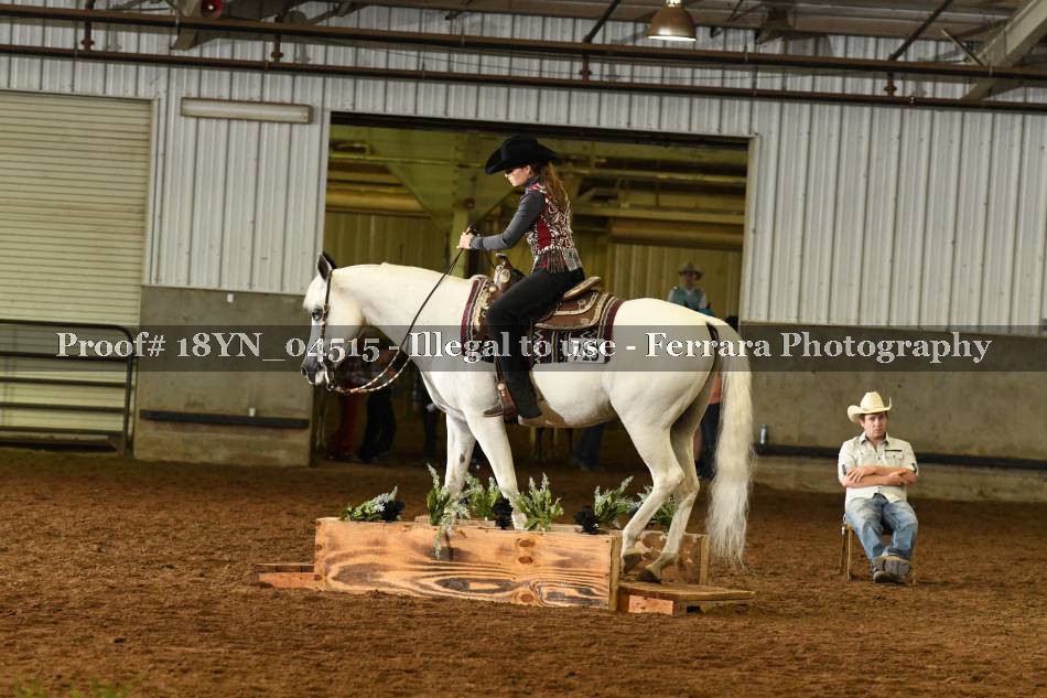 Proof 18YN_04515