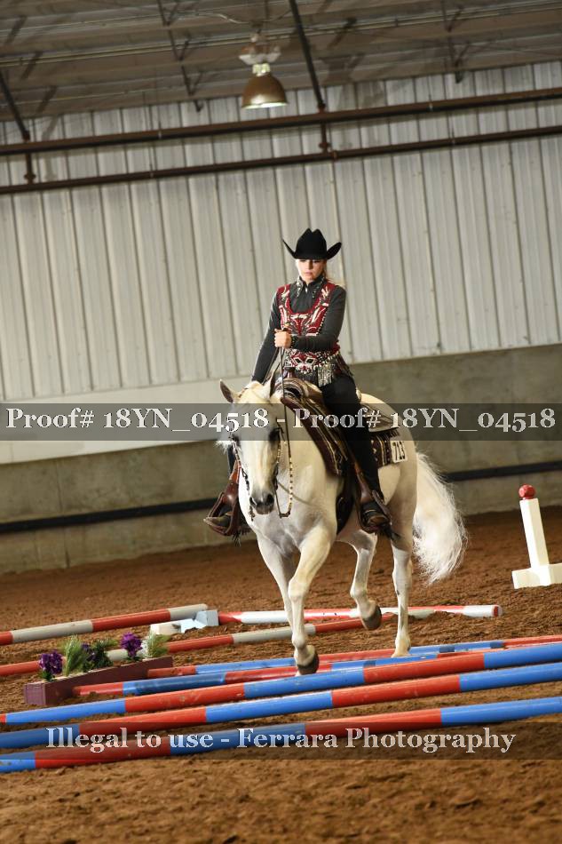 Proof 18YN_04518