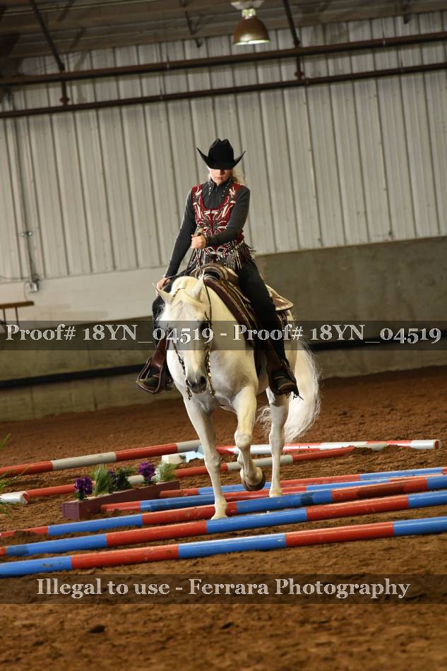 Proof 18YN_04519