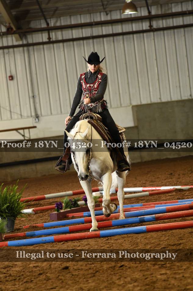 Proof 18YN_04520