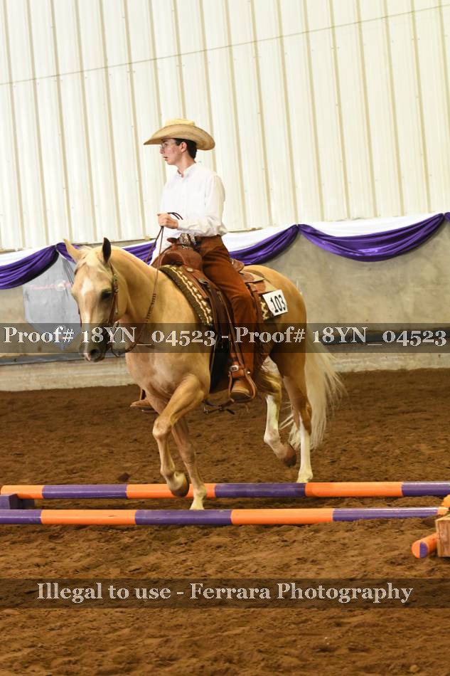 Proof 18YN_04523