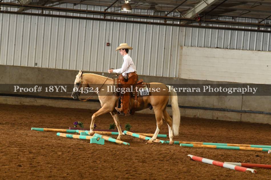 Proof 18YN_04524