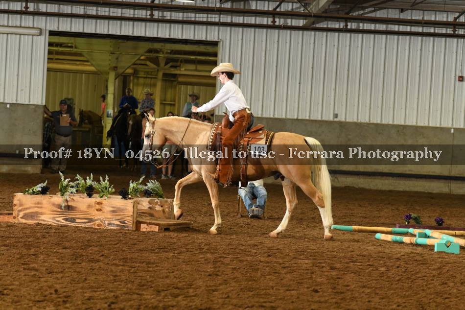 Proof 18YN_04526
