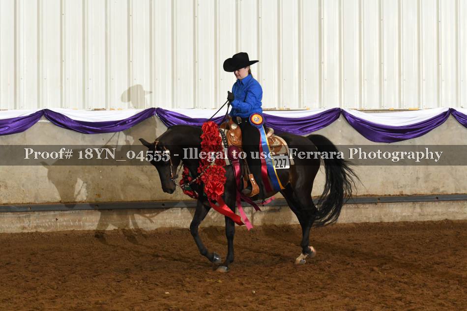 Proof 18YN_04555