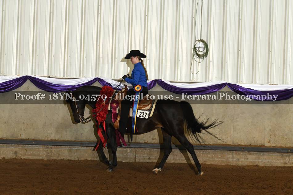Proof 18YN_04570