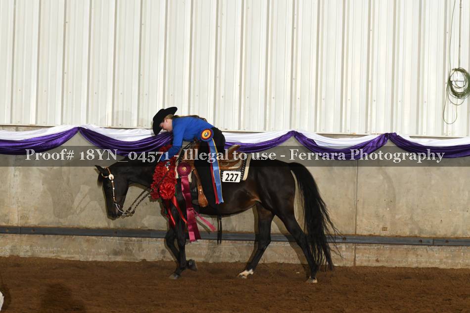 Proof 18YN_04571