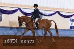 18YN_22571 proof