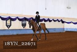 18YN_22671 proof