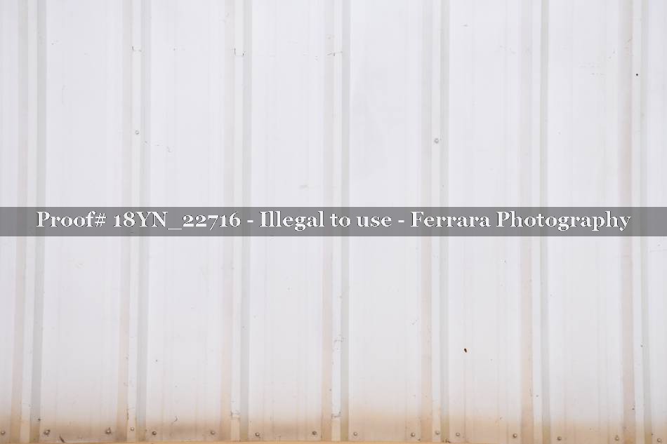Proof 18YN_22716