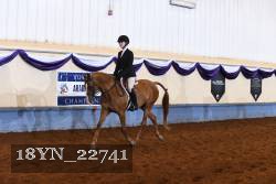 18YN_22741 proof