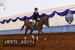 18YN_22771 proof