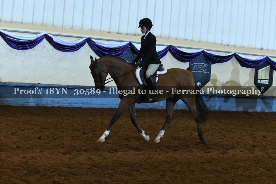 Proof 18YN_30589