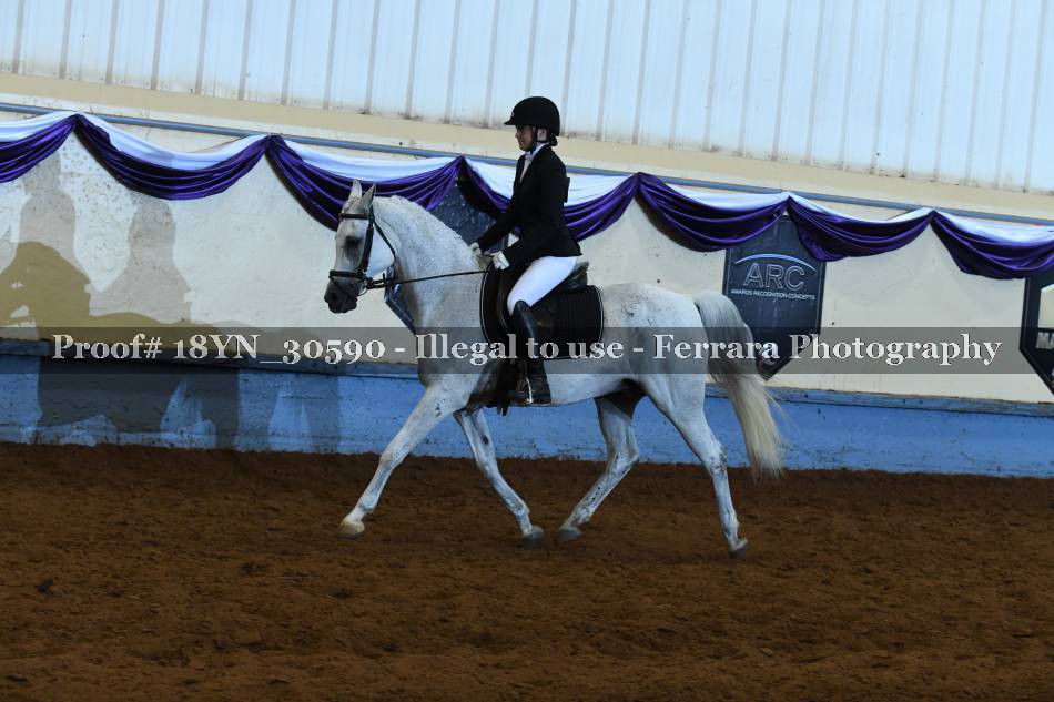 Proof 18YN_30590