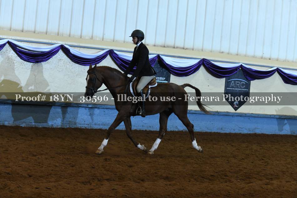 Proof 18YN_30596