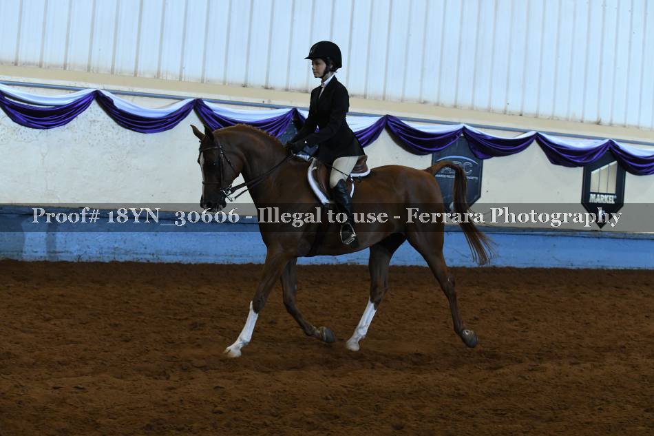 Proof 18YN_30606