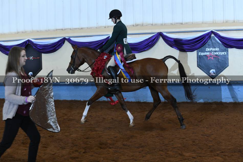 Proof 18YN_30679