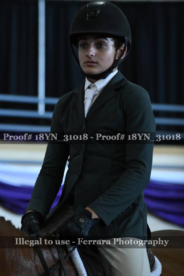 Proof 18YN_31018