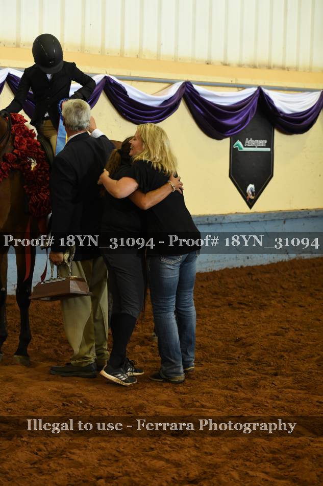 Proof 18YN_31094