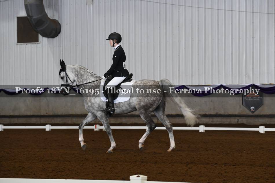 Proof 18YN_16195