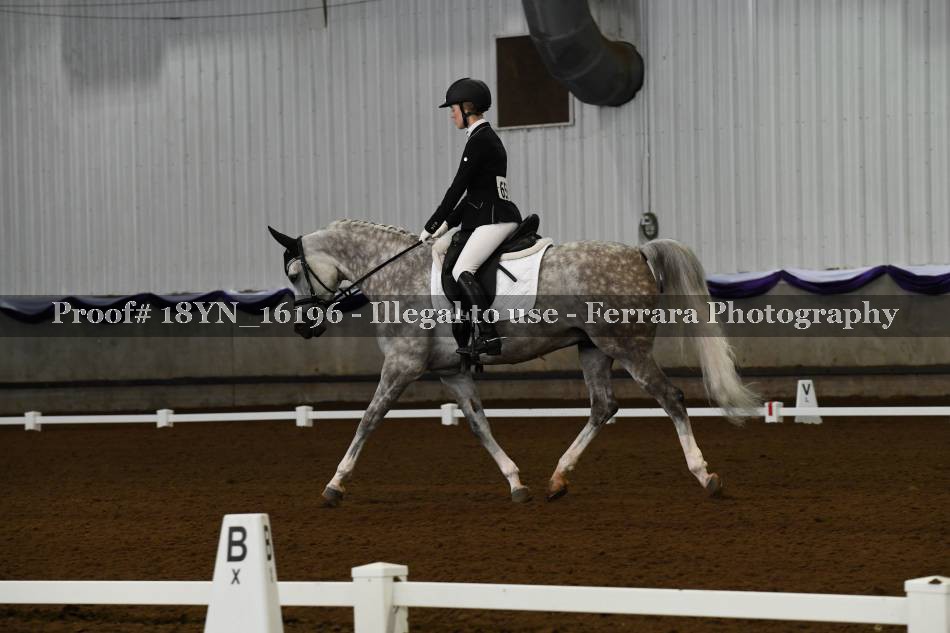 Proof 18YN_16196