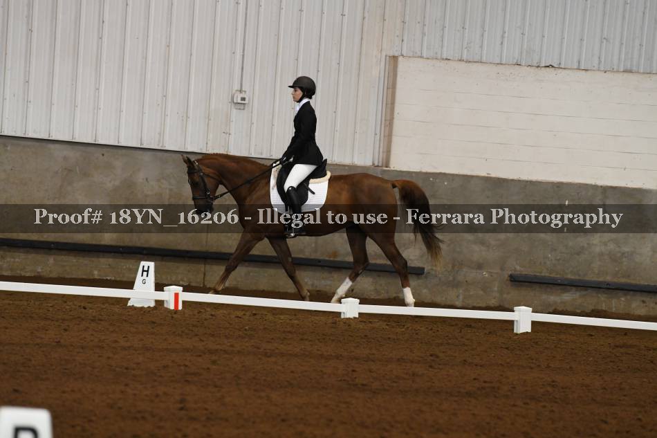 Proof 18YN_16206