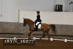 18YN_16277 proof