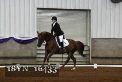 18YN_16433 proof