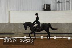 18YN_16513 proof