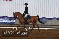 18YN_16534 proof