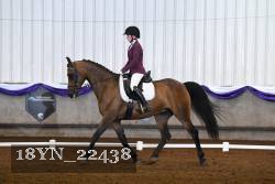 18YN_22438 proof